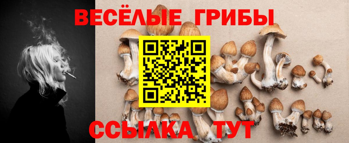 Псилоцибиновые грибы GOLDEN TEACHER Братск