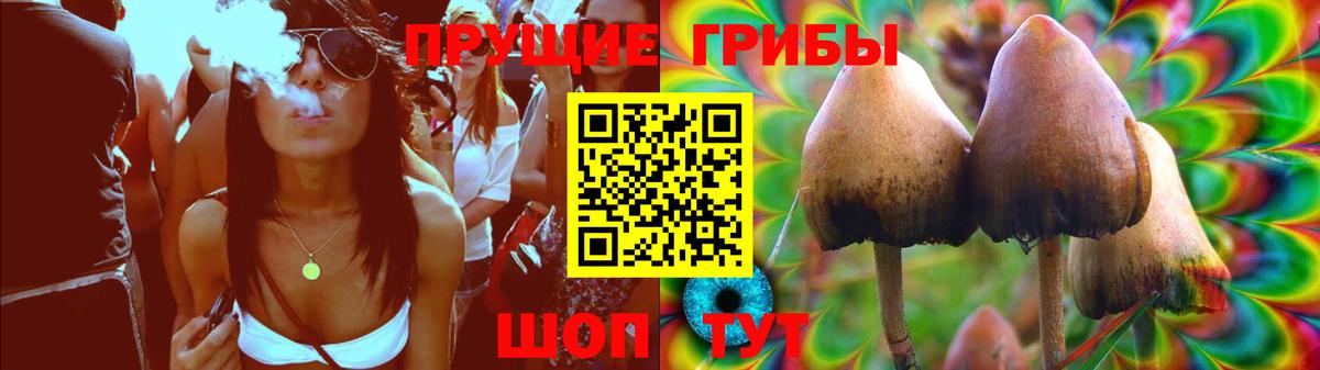 Псилоцибиновые грибы Psilocybine cubensis  Псилоцибиновые грибы мухоморы  Вход с VPN  Братск 